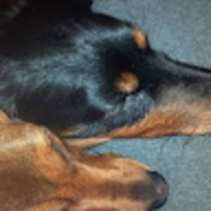 Meet your Posher, Eileen